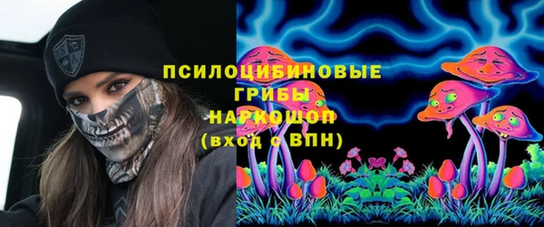 apvp Алзамай